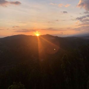 Meet your Posher, Reece